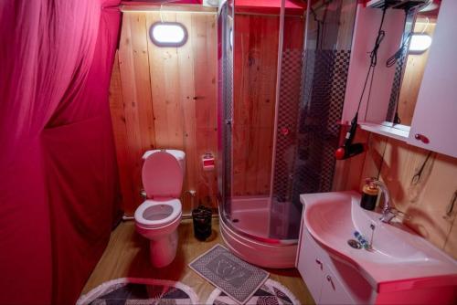 ein Bad mit einem WC, einer Dusche und einem Waschbecken in der Unterkunft Besega Bungalow in Uzungöl