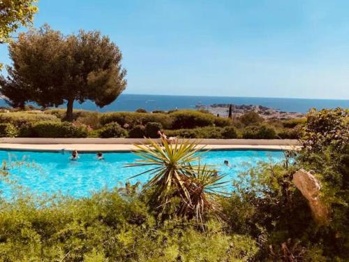 - une piscine avec des personnes à l'eau dans l'établissement T2 - Grande terrasse, Vue mer, Piscine, à Bandol