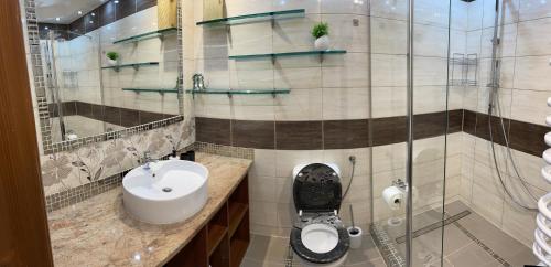 a bathroom with a toilet and a sink at Apartament Władek in Biały Dunajec