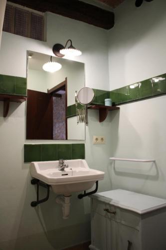 a bathroom with a sink and a mirror and a toilet at Apartaments Rurals Ai Manyac in San Miguel de Cruilles