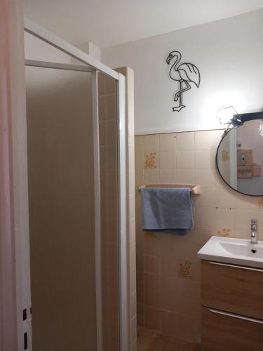 une salle de bain avec une douche, un lavabo et un miroir dans l'établissement Appartement avec jardin proche de la mer, à Valras-Plage