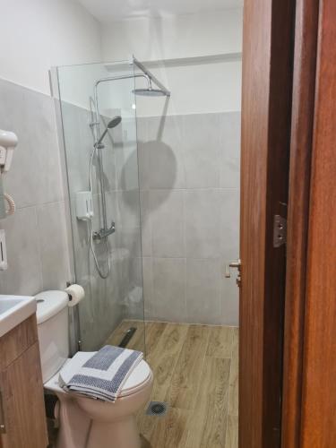 a bathroom with a toilet and a glass shower at Este Luxury Apartments in Kriopigi