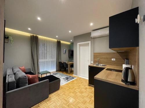 Kuchyň nebo kuchyňský kout v ubytování Premium Apartments