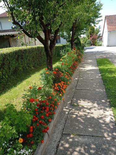 Zahrada ubytování Studio Apartman Škudar