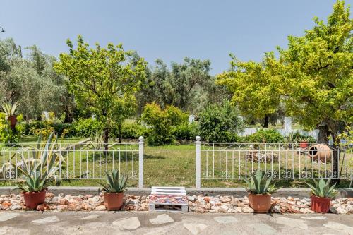 a fence with plants and a dog in the background at Panagou Studios in Skopelos Town