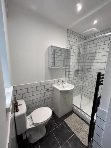 een badkamer met een toilet, een wastafel en een douche bij Stylish 1 bed apartment in Hull