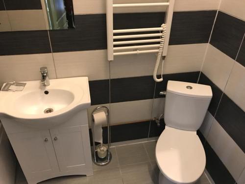 A bathroom at Peldu street apartments
