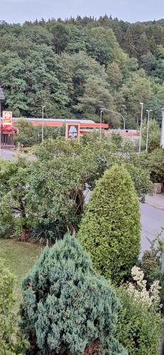 a group of bushes with a train in the background at Haus Sissi in Daun