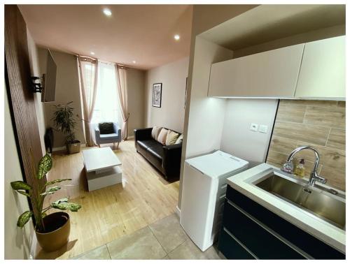 cocina y sala de estar con sofá y lavamanos en T 2 Calme&douceur, en Tarbes