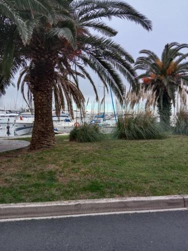 a couple of palm trees on the side of a road at Appartement T2 vue Marina 2QMAR15 apartment one bedroom marina view in Canet-en-Roussillon