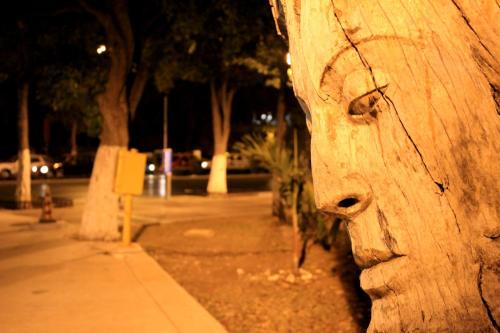 a close up of a wooden pole in a park at night at Holiday Inn Merida by IHG in Mérida