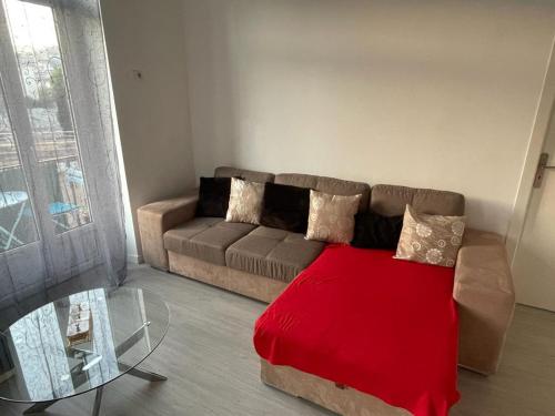 Bel appartement pour vos séjours sur la côte في نيس: غرفة معيشة مع أريكة وبطانية حمراء