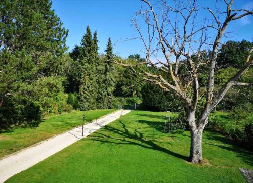 Ein Baum im Gras neben einer Straße in der Unterkunft Ferienwohnung Rheinblick, ruhig, Aussicht, Gartennutzung, Sport-Pool in Koblenz