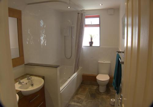 een badkamer met een wastafel, een toilet en een douche bij The Cwtch in Haverfordwest