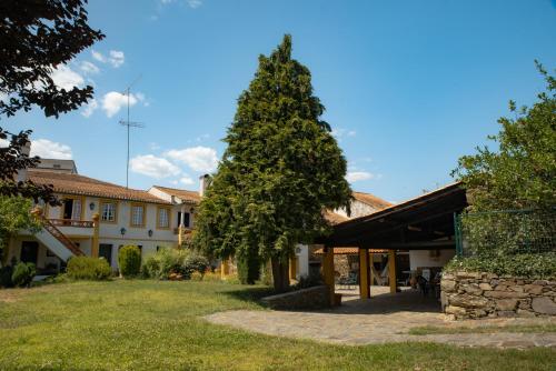 a large tree in a yard next to a building at A Sobreirinha Jacuzzi e Pet Friendly in Sobreira Formosa