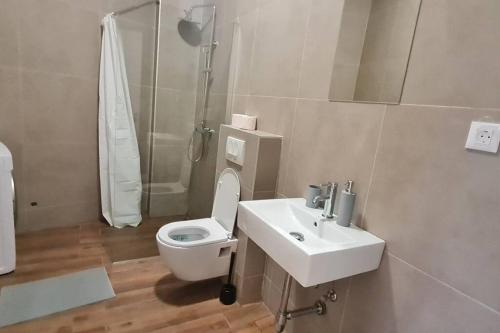 a bathroom with a toilet and a sink and a shower at Amar 2 in Zemun