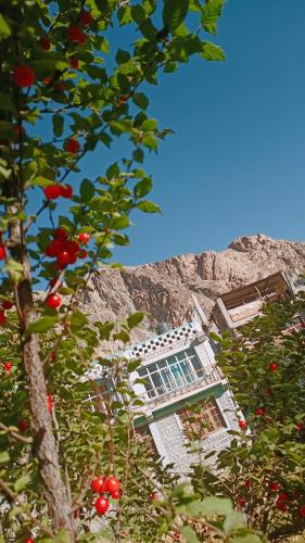 a building on the side of a hill with red fruit at Summer and winter homestay Turtuk Youl in Turtok
