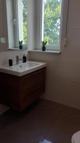 a bathroom with a sink and two windows with plants at Apartament Słoneczny in Poznań