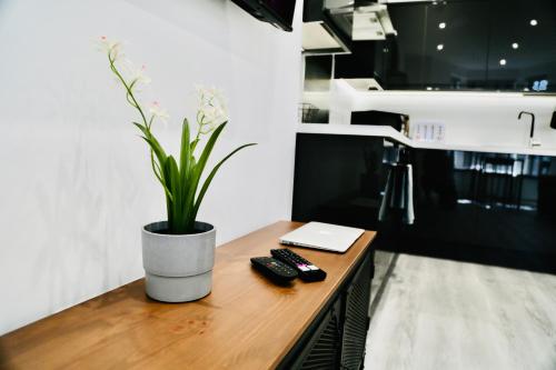 a table with two remote controls and a potted plant on it at New Modern Apartment With FREE Private Parking in Plymouth