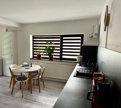 a kitchen with a table and chairs and a window at Forest Apart in Predeal