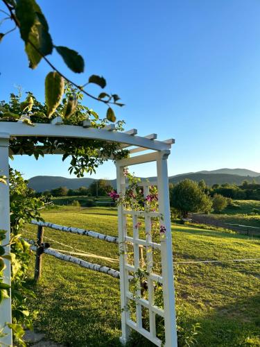 Ranch Terra – Photos 5