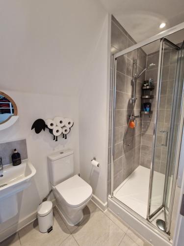 a bathroom with a shower and a toilet and a sink at Spacious 3 bedroom family home in Shinfield
