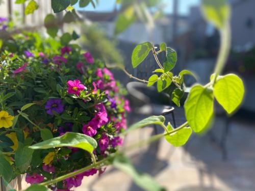 a bunch of flowers in a hanging basket at Scotch Arms Mews Bed & Breakfast in Brampton