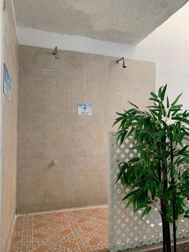 uma casa de banho com um chuveiro e uma planta em Blue Emerald Inn em San Andrés