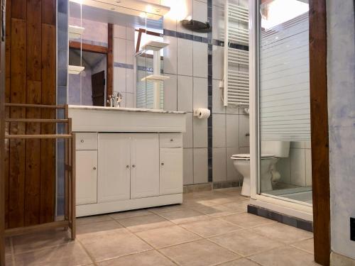 uma casa de banho com um lavatório e um WC em Charmant 65m2 privé dans maison & terrasse vue Larzac em Saint-Jean-de-la-Blaquière