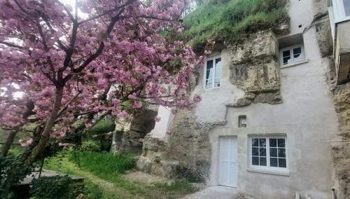 einen Baum mit rosa Blumen vor einem Steingebäude in der Unterkunft Troglo entre Caves et Châteaux in Montlouis-sur-Loire