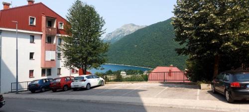 un grupo de autos estacionados en un estacionamiento junto a un lago en KULIC, en Plužine