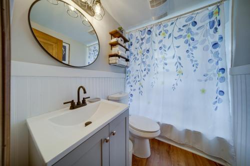 a bathroom with a sink and a toilet and a mirror at Central Erie Vacation Rental about 2 Mi to Beach! in Erie