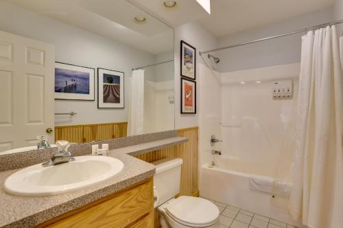 a bathroom with a sink and a toilet and a shower at Tannersville Vacation Rental with Pool Table! in Tannersville