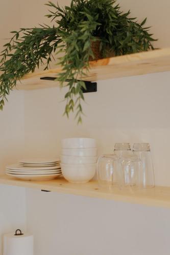 a shelf with dishes and a potted plant on it at Waterfront River Apartments in Rogue River