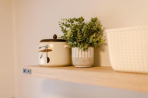 two potted plants sitting on a wooden shelf at Waterfront River Apartments in Rogue River