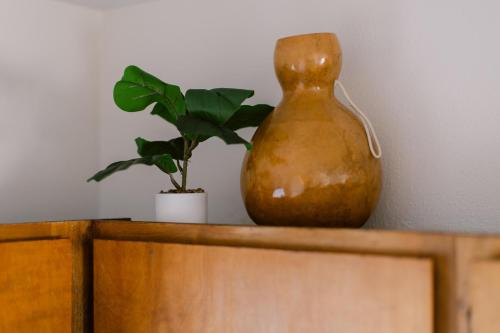 a vase and a plant on a wooden shelf at Waterfront River Apartments in Rogue River