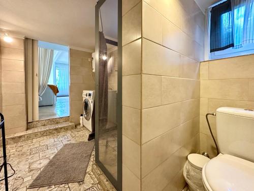 a bathroom with a toilet and a walk in shower at Guest house Saulkrasti in Saulkrasti