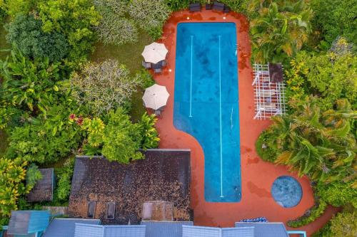 an overhead view of a swimming pool at a resort at Jasmine Suite on Lush farm in Haiku, Maui jungle in Huelo