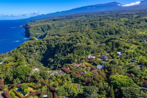 an aerial view of a forested area next to the ocean at Jasmine Suite on Lush farm in Haiku, Maui jungle in Huelo