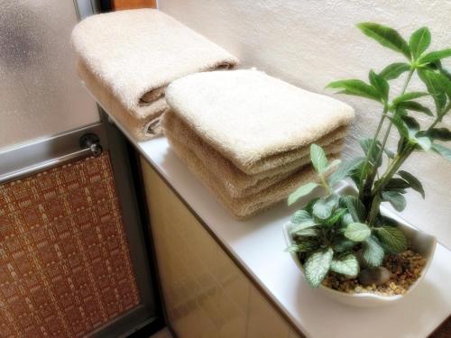 łazienka z ręcznikami i doniczką na ladzie w obiekcie Nishikujo stay5 - Vacation STAY 14800 w Osace