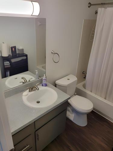 a bathroom with a sink and a toilet and a mirror at Serenity Apartment in Chesterfield