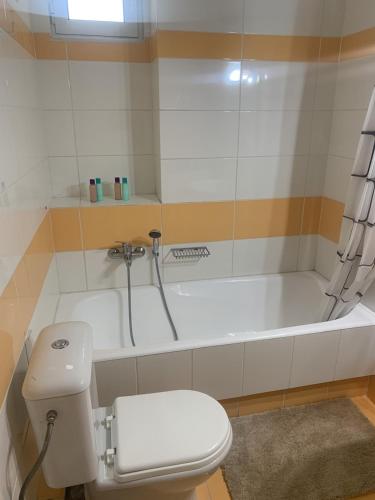 a bathroom with a toilet and a bath tub at Gerard Luxury apartment in Patra