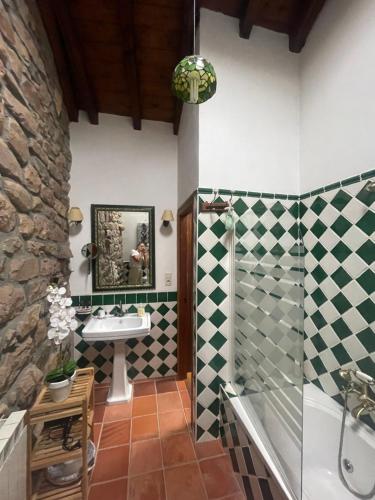 y baño con lavabo y ducha. en Casa de campo El Midiaju para 8 personas, en Carmona