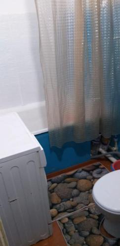 een badkamer met een toilet en een douchegordijn bij Аренда квартир Балхаш in Balqash