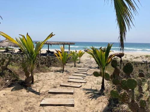 Villa Palmeras Puerto Escondido Beachfront