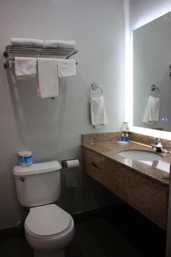 W łazience znajduje się toaleta, umywalka i lustro. w obiekcie Rodeway Inn & Suites w mieście Hayward