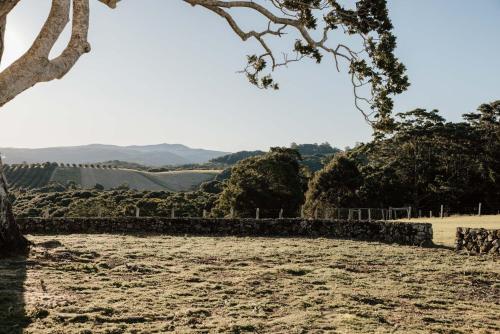 a field with a tree and a stone wall at Amileka - luxury 25 acre estate with pool in Federal