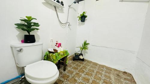 a bathroom with a toilet and plants on the wall at Deep House Sea View in Ko Lanta