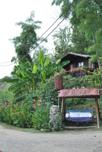 a garden with a house in the background with a blue bench at Bungalow- casute in Orşova