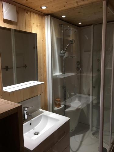 y baño con lavabo, ducha y bañera. en Le chalet de Doucy Bardet, en Habère-Poche